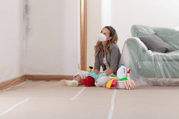 Reliable Mold Remediation contractor in Sherwood, OR by 24 Hour Mold Removal
